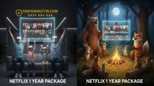 Gói Netflix 1 Năm Giá Rẻ 749K – Giải Pháp Xem Netflix Tiết Kiệm 2026
